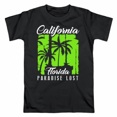 Мужская футболка California