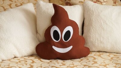 Подушка Веселая какашка